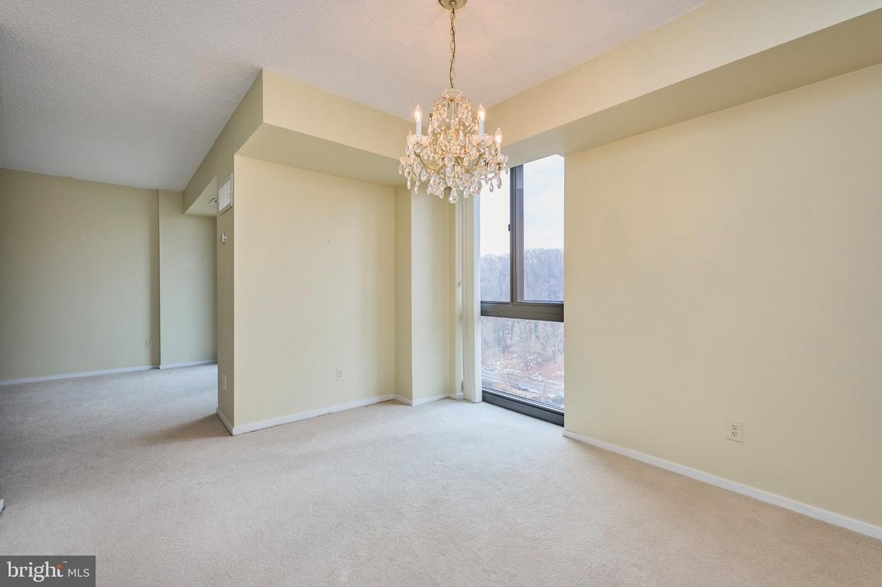 2300 Pimmit Dr Apt 912 - Photo 7 of 30