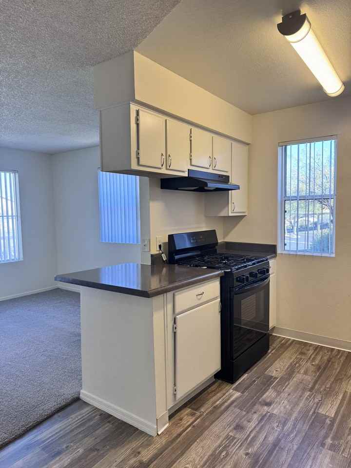 9777 N. Thornydale Road8205 #8205 - Photo 4 of 38