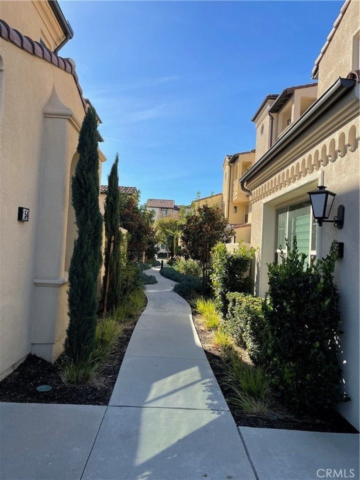 164 Tubeflower - Photo 2 of 5