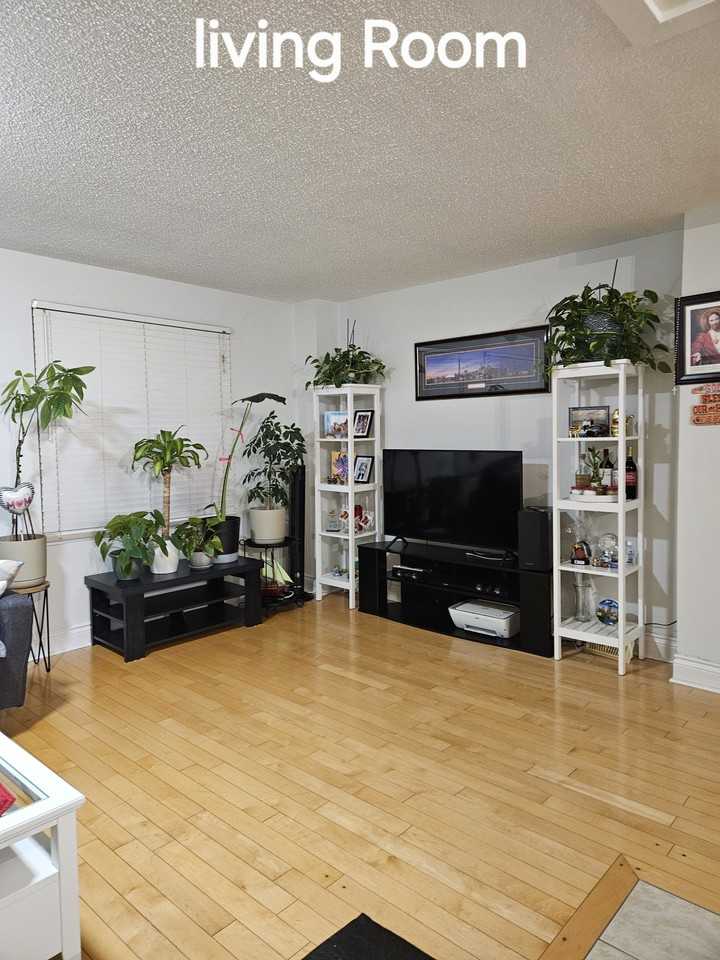 Caledonia Rd & Lotherton Pathway - Photo 5 of 12