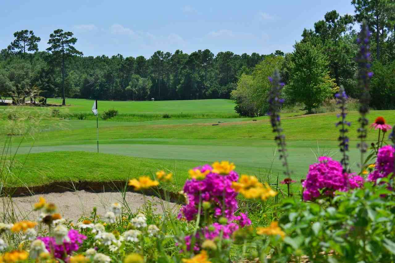 390 Pinehurst Ln #1253447P - Photo 3 of 26