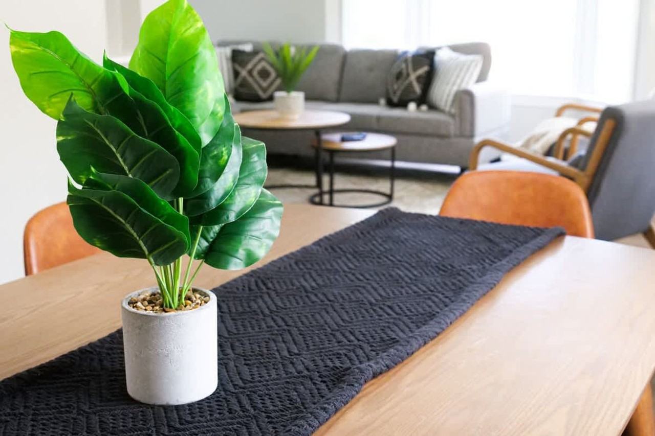 3582 Silsby Rd #1496031P - Photo 5 of 49