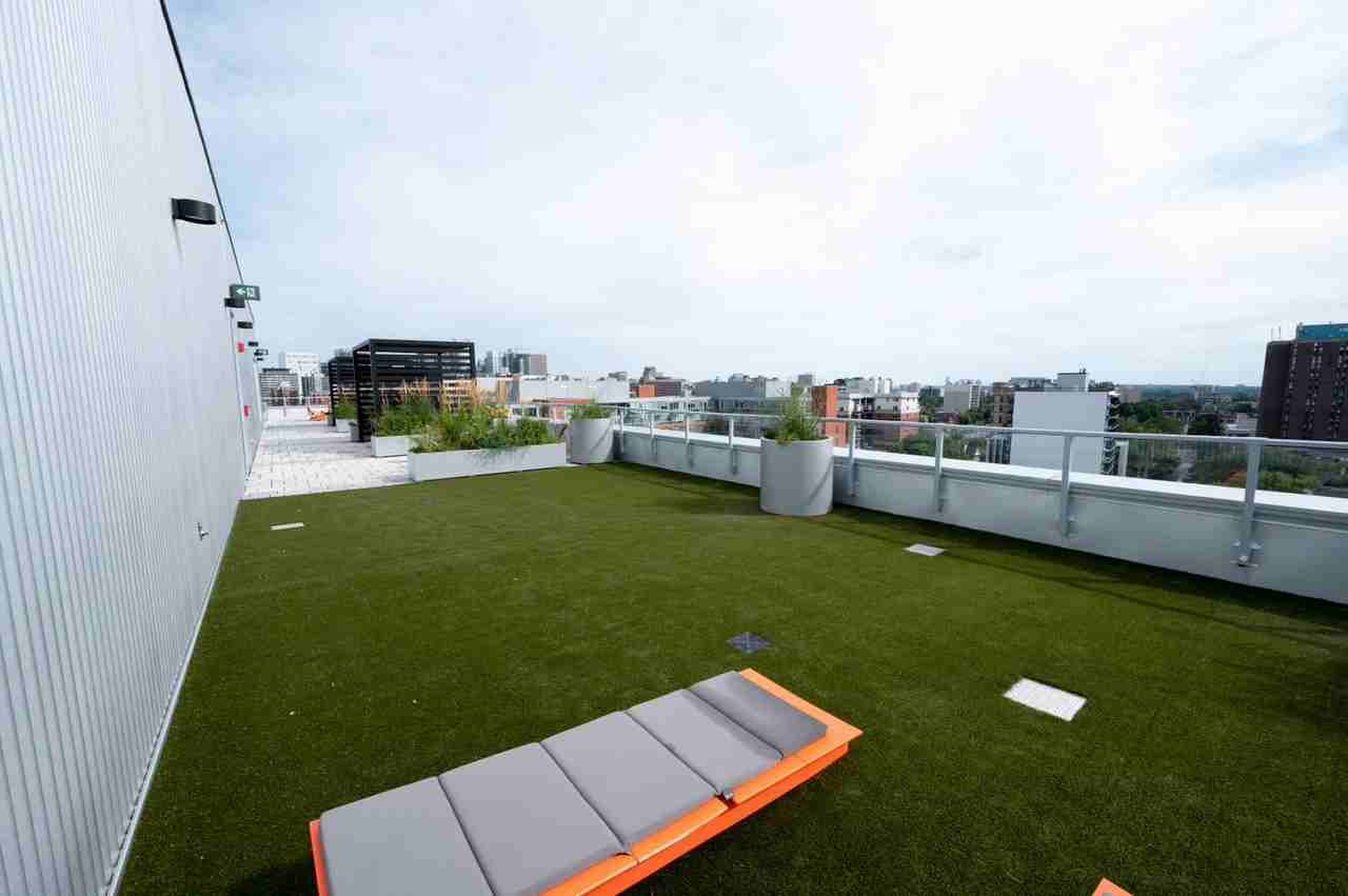 Flora Apartments - Photo 6 of 17