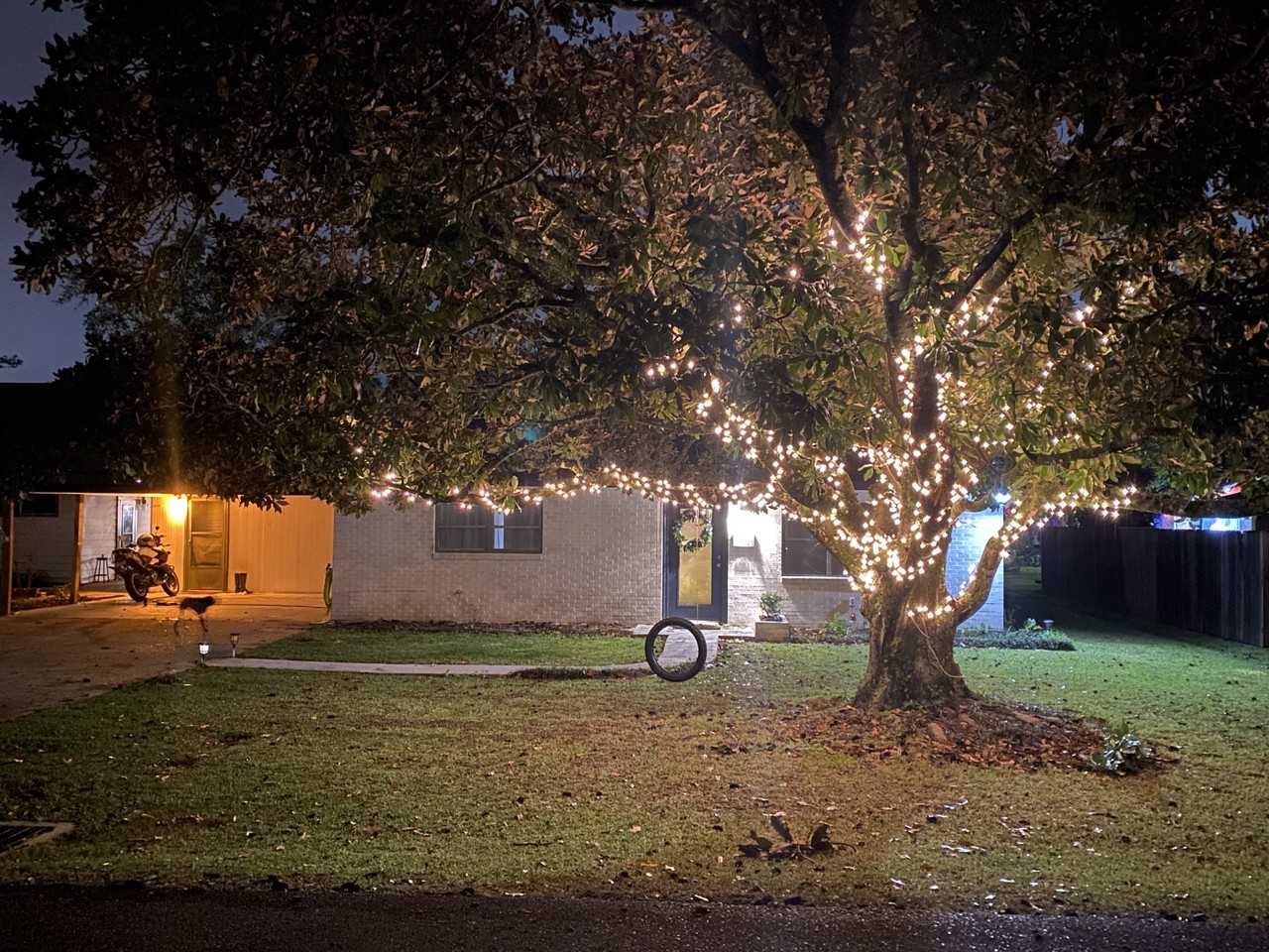 402 Saint Bernard St #1 - Photo 5 of 5