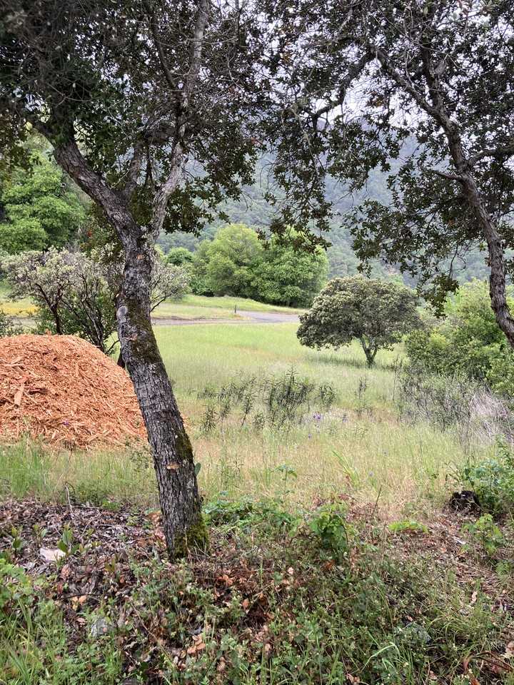 1411 Duncan Springs Rd - Photo 7 of 15