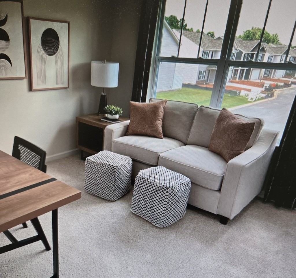 25 Clear Creek Ln #25 - Photo 3 of 10