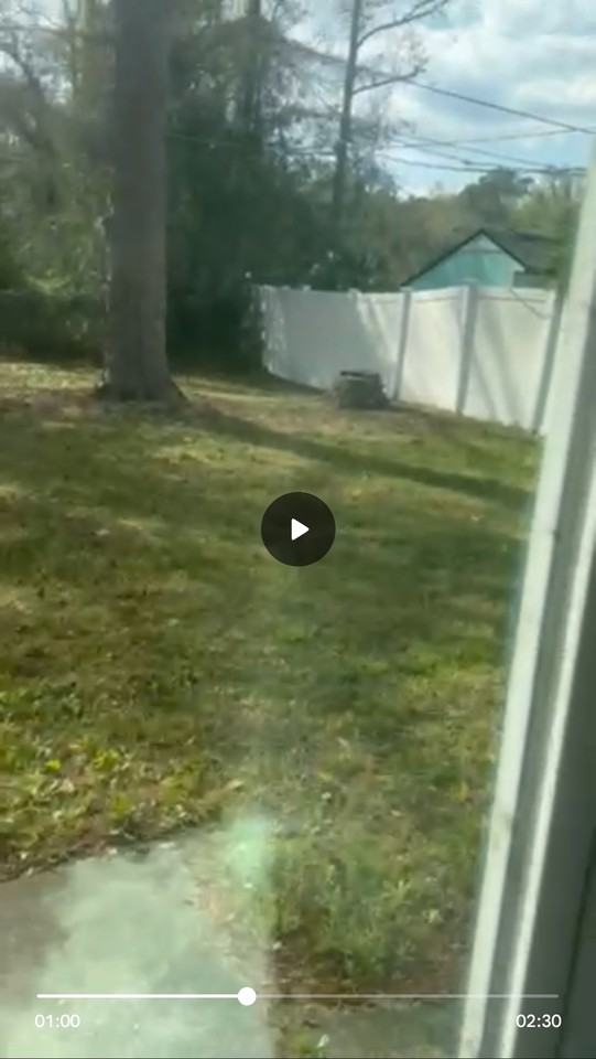 3426 Tamarind Dr #NA - Photo 7 of 11