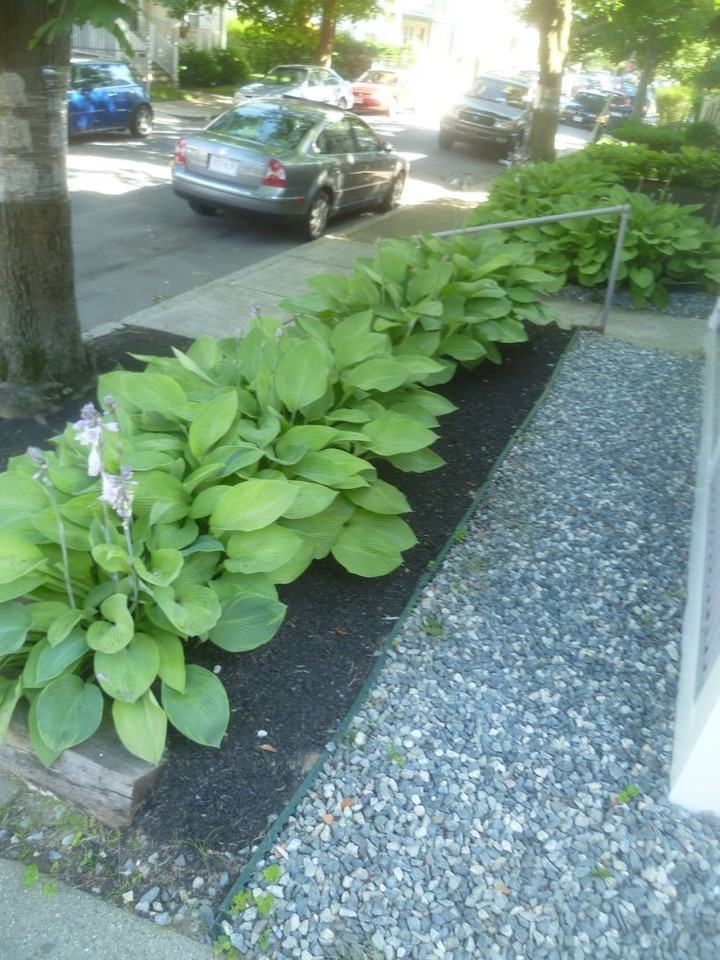 66 Hobson St - Photo 6 of 24