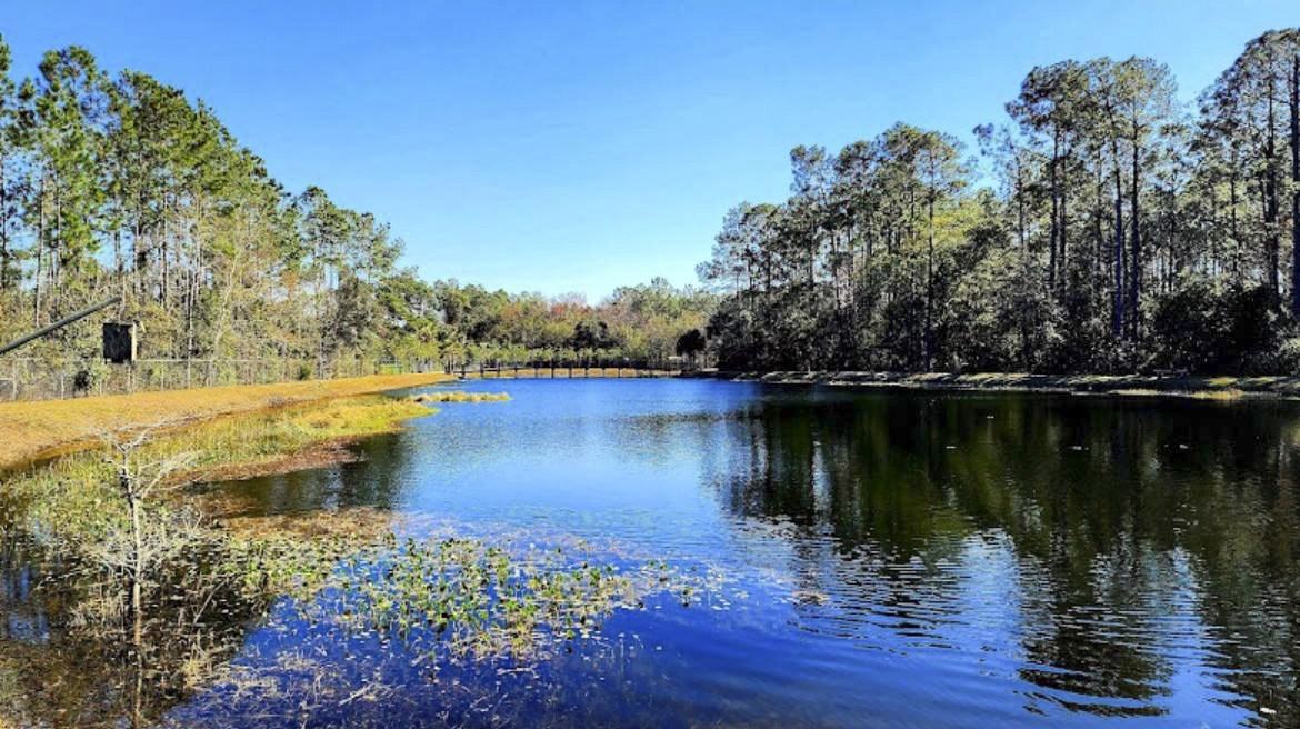 Graybar Ct - Photo 6 of 22