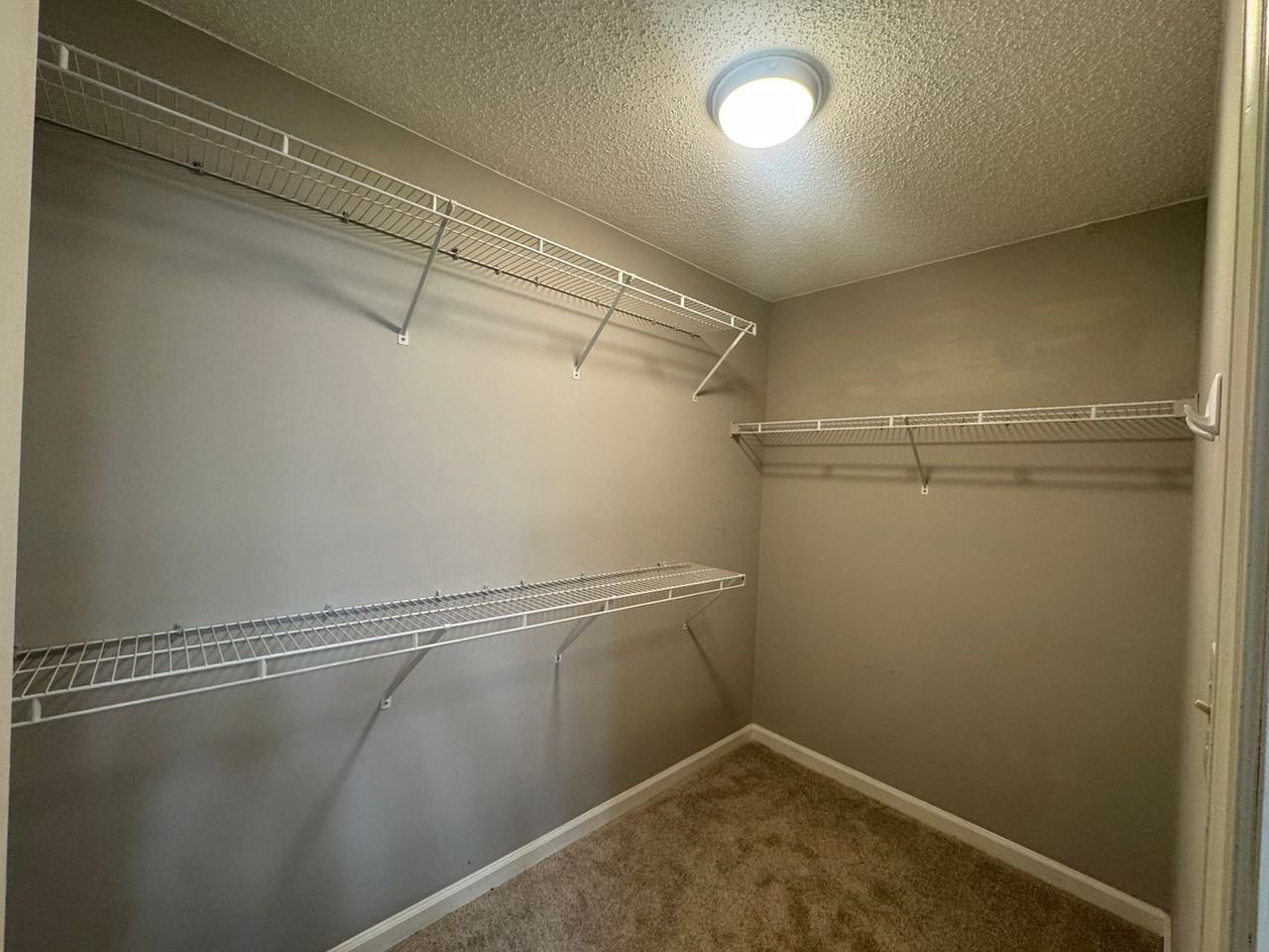 806 Newday Ct #806 - Photo 7 of 21