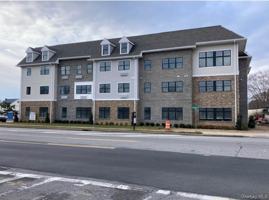 featured image of 116 Waverly Ave Apt 8 #Apt 8