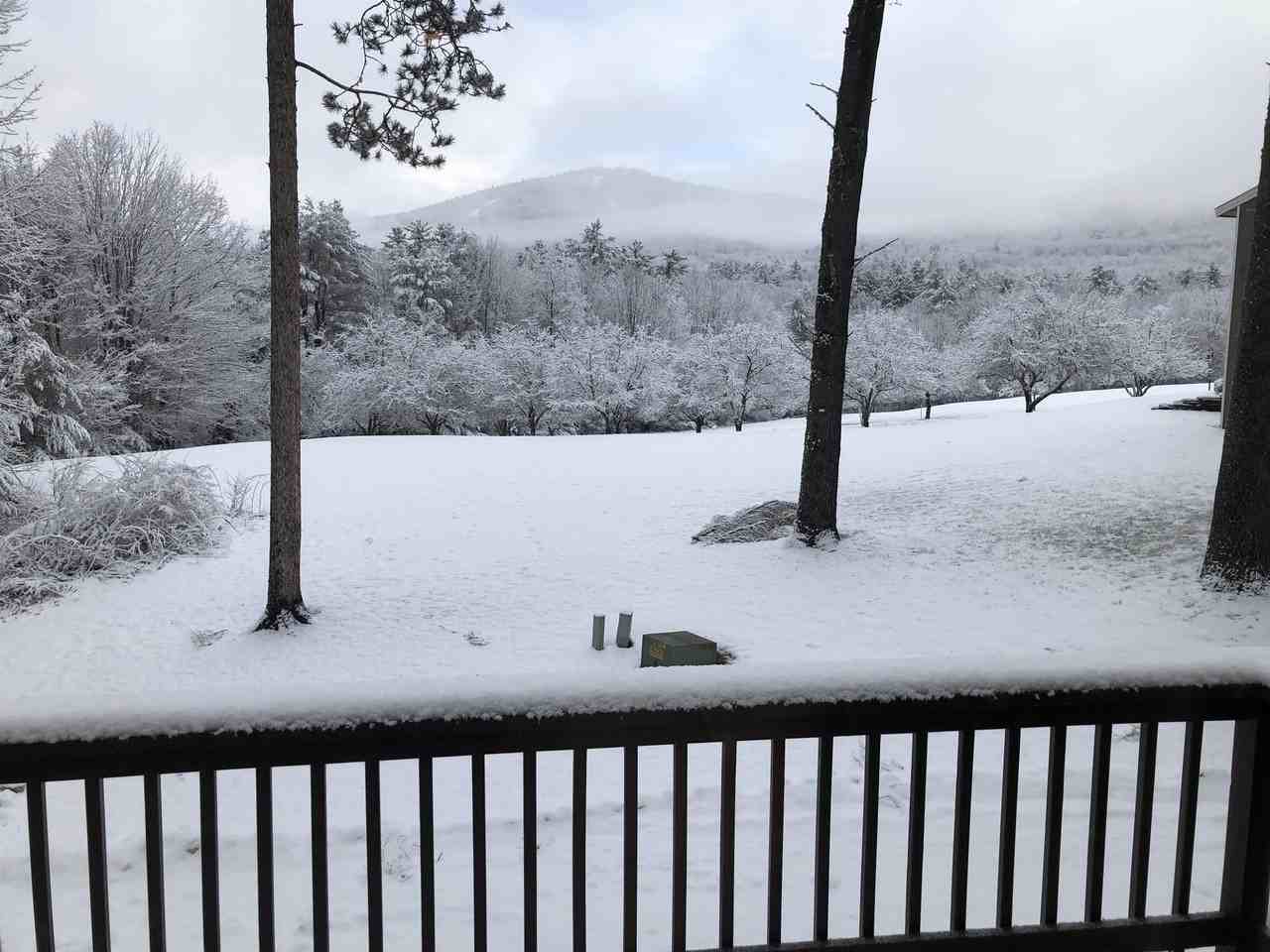 65 Bear Puddin Ln #43 - Photo 5 of 44