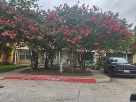 19 Autumn Pass - Photo 1 of 1