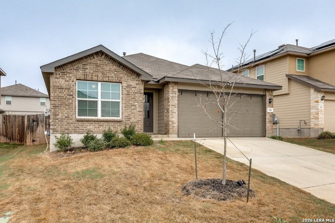 156 Crowned Crane - Photo 2 of 25