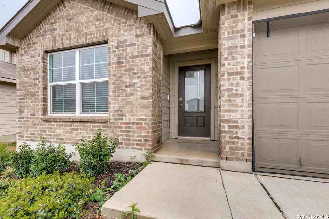 156 Crowned Crane - Photo 3 of 25