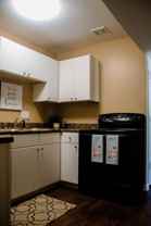 Acorn - Photo 1 of 1