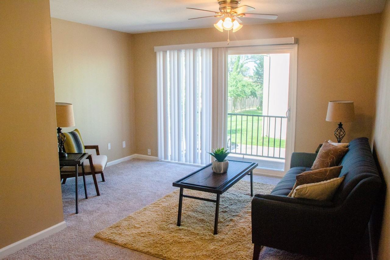 Acorn - Photo 3 of 13