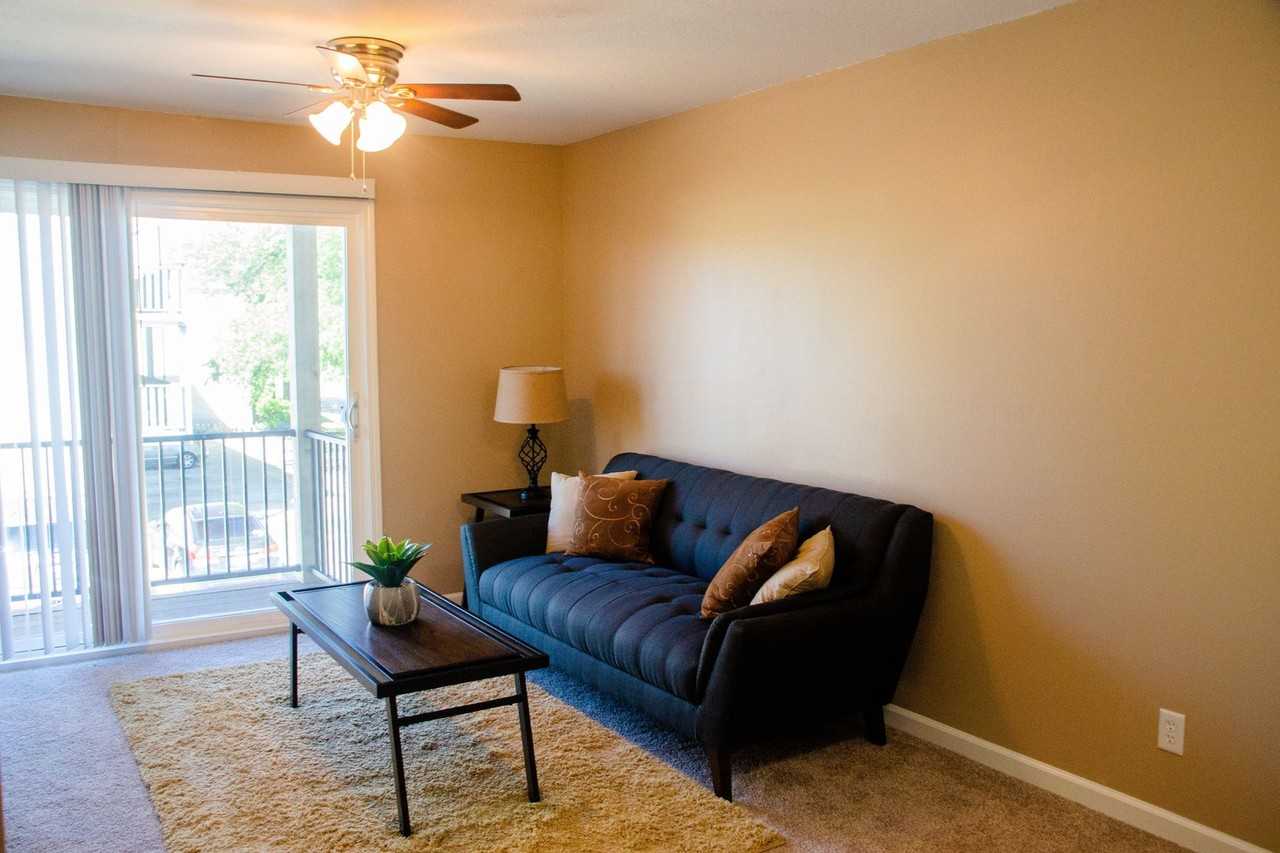 Acorn - Photo 4 of 13