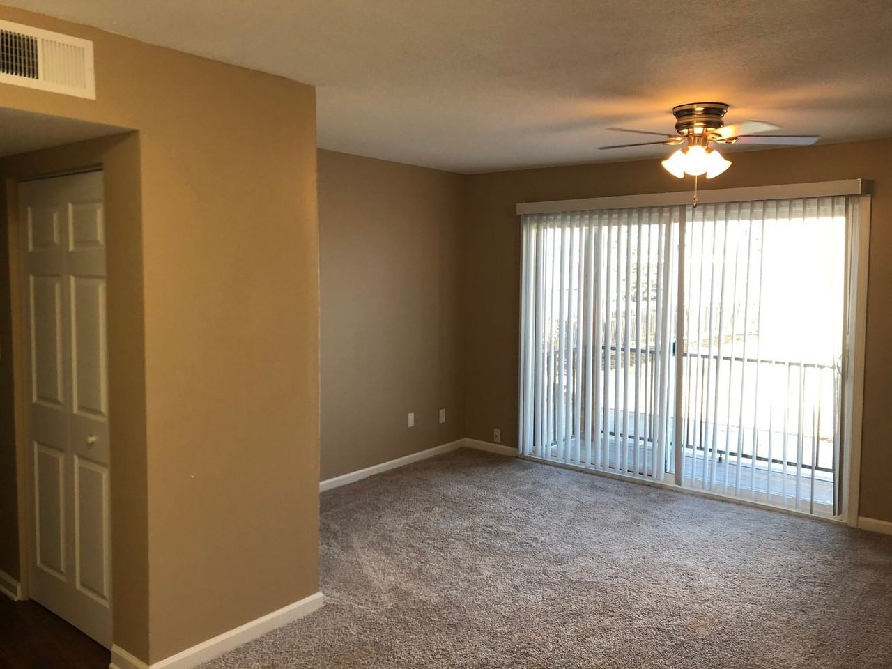 Acorn - Photo 5 of 13