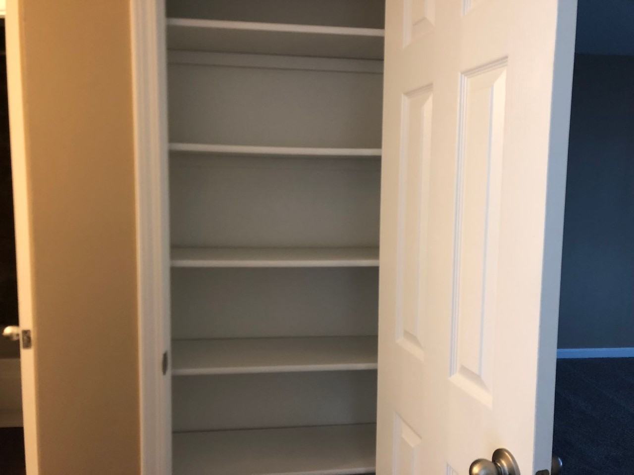 Acorn - Photo 7 of 13