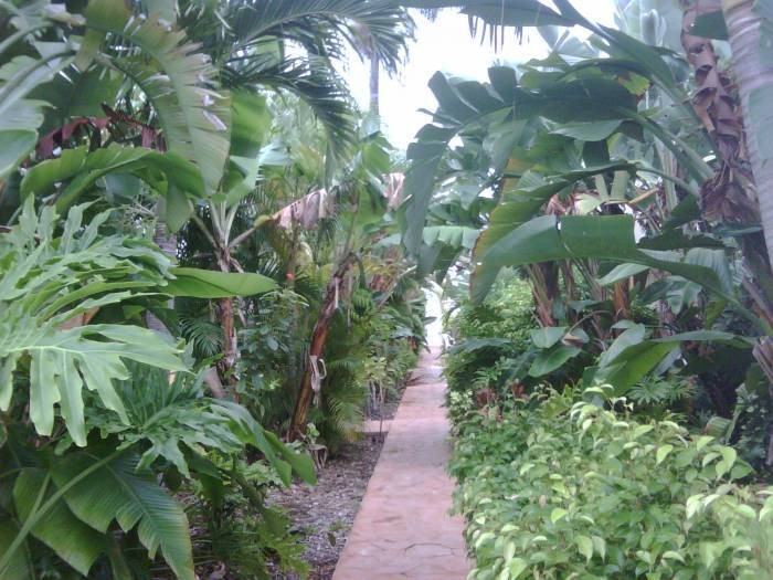 340 - Hemingway At Wilton Manors LLC - Photo 6 of 16