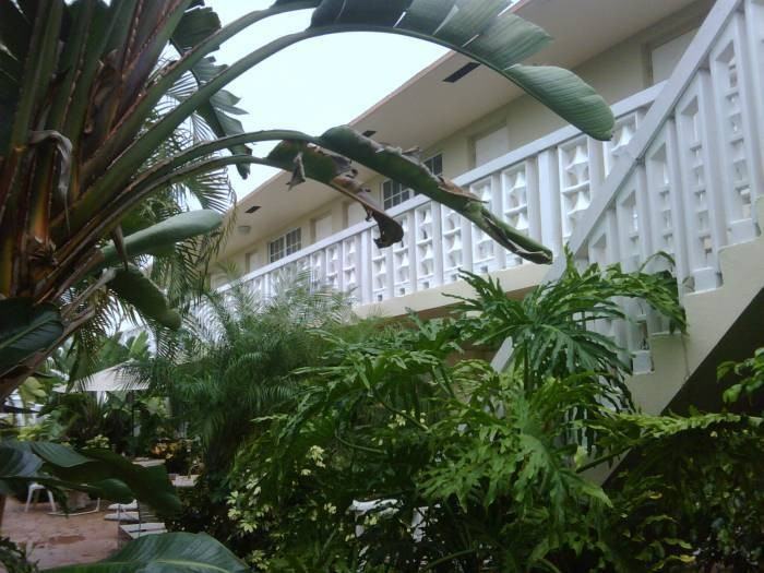 340 - Hemingway At Wilton Manors LLC - Photo 7 of 16