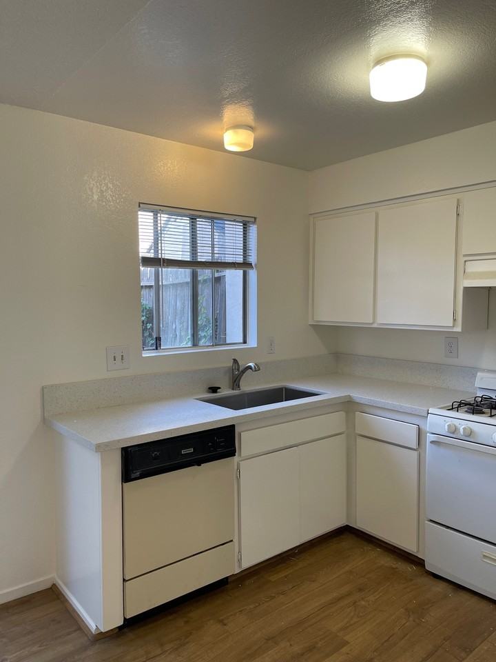 Ash 1158 - Photo 3 of 12