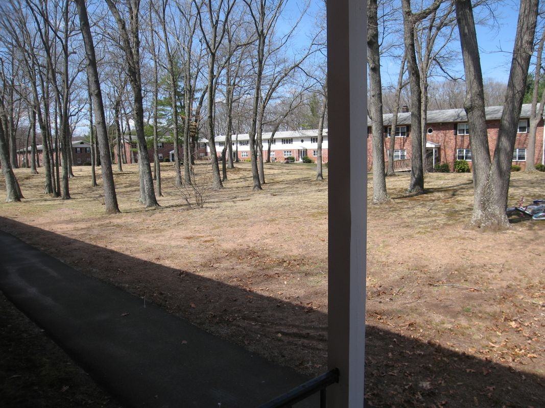 494 Oak Ave - Photo 5 of 18