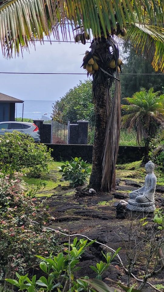 15-802 Paradise Ala Kai Dr - Photo 3 of 29