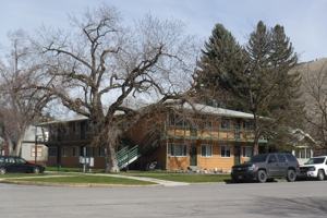 featured image of 436 Ford St #201