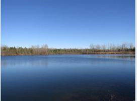 featured image of Lot 5 Hawks Pointe Dr. #NA