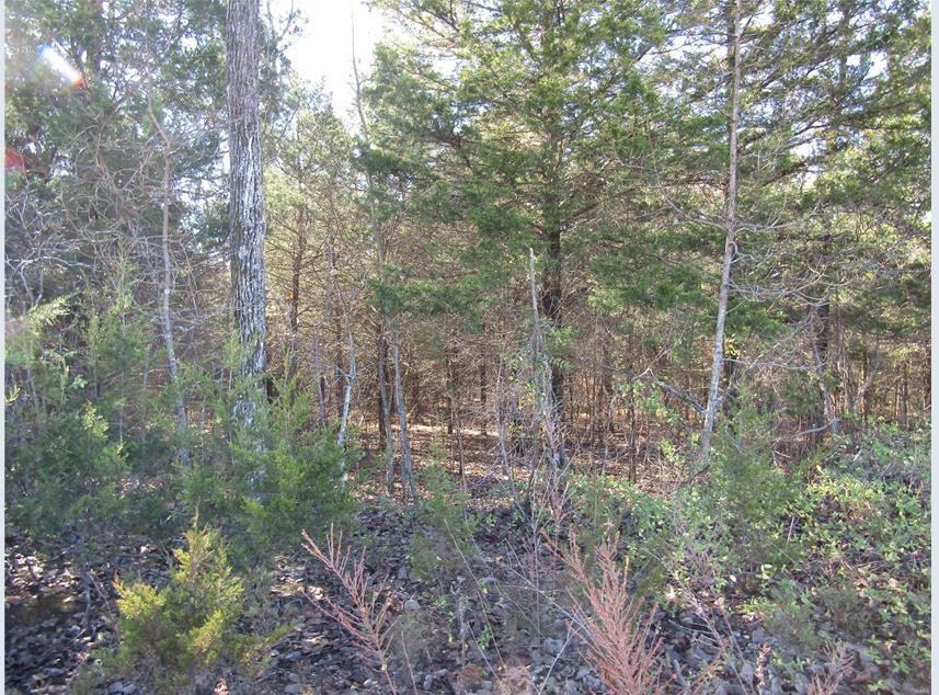 Lot 5 Hawks Pointe Dr. #NA - Photo 5 of 7