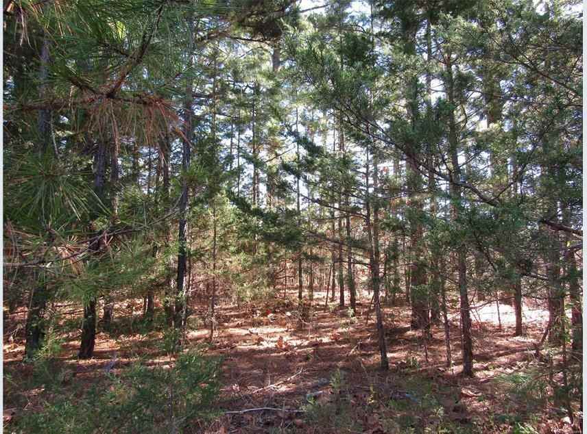 Lot 5 Hawks Pointe Dr. #NA - Photo 6 of 7
