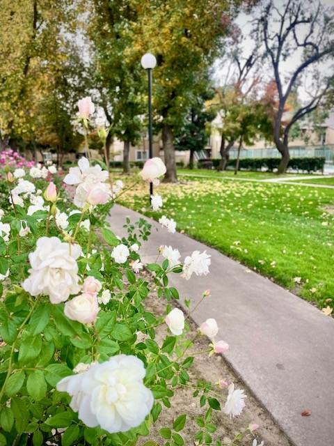 2300 Oakdale Rd #204 - Photo 2 of 16