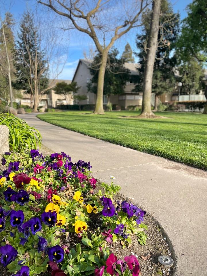 2300 Oakdale Rd #204 - Photo 4 of 16