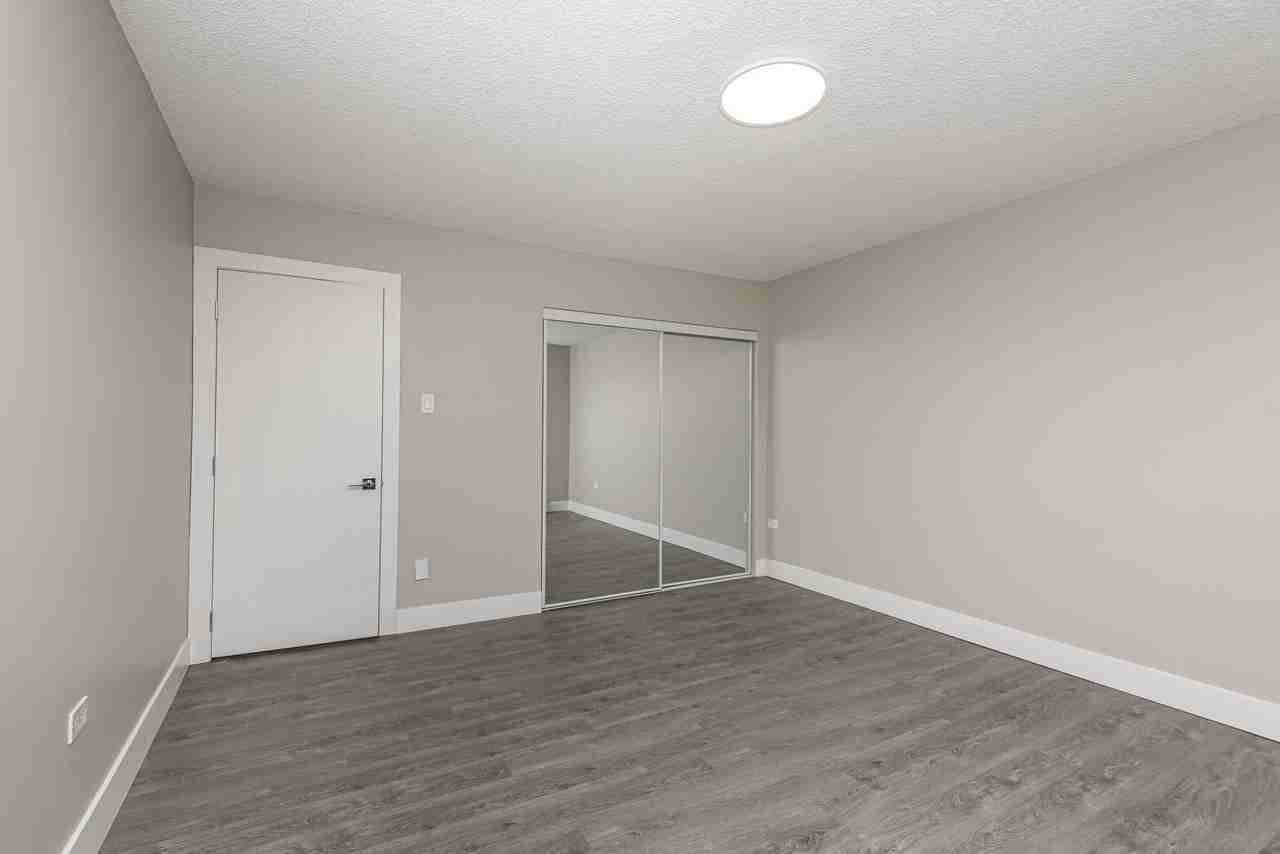 Saxon - Photo 5 of 9