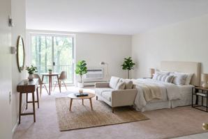 featured image of 289 MOON CLINTON ROADAPT 29 #29