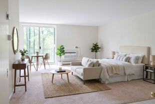 289 MOON CLINTON ROADAPT 29 #29 - Photo 1 of 1