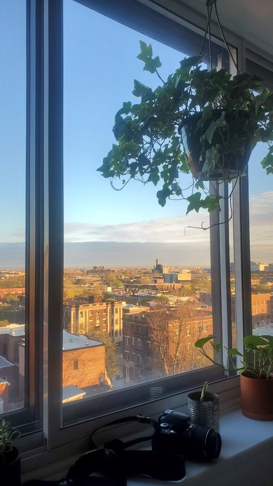 445 Boul St-Joseph O - Photo 7 of 17