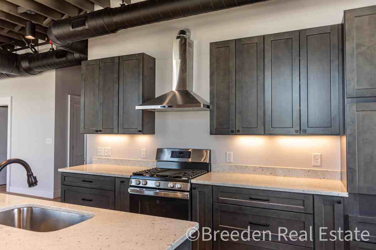 100 West Union Street - 1Apt. 300 #1 - Photo 6 of 25