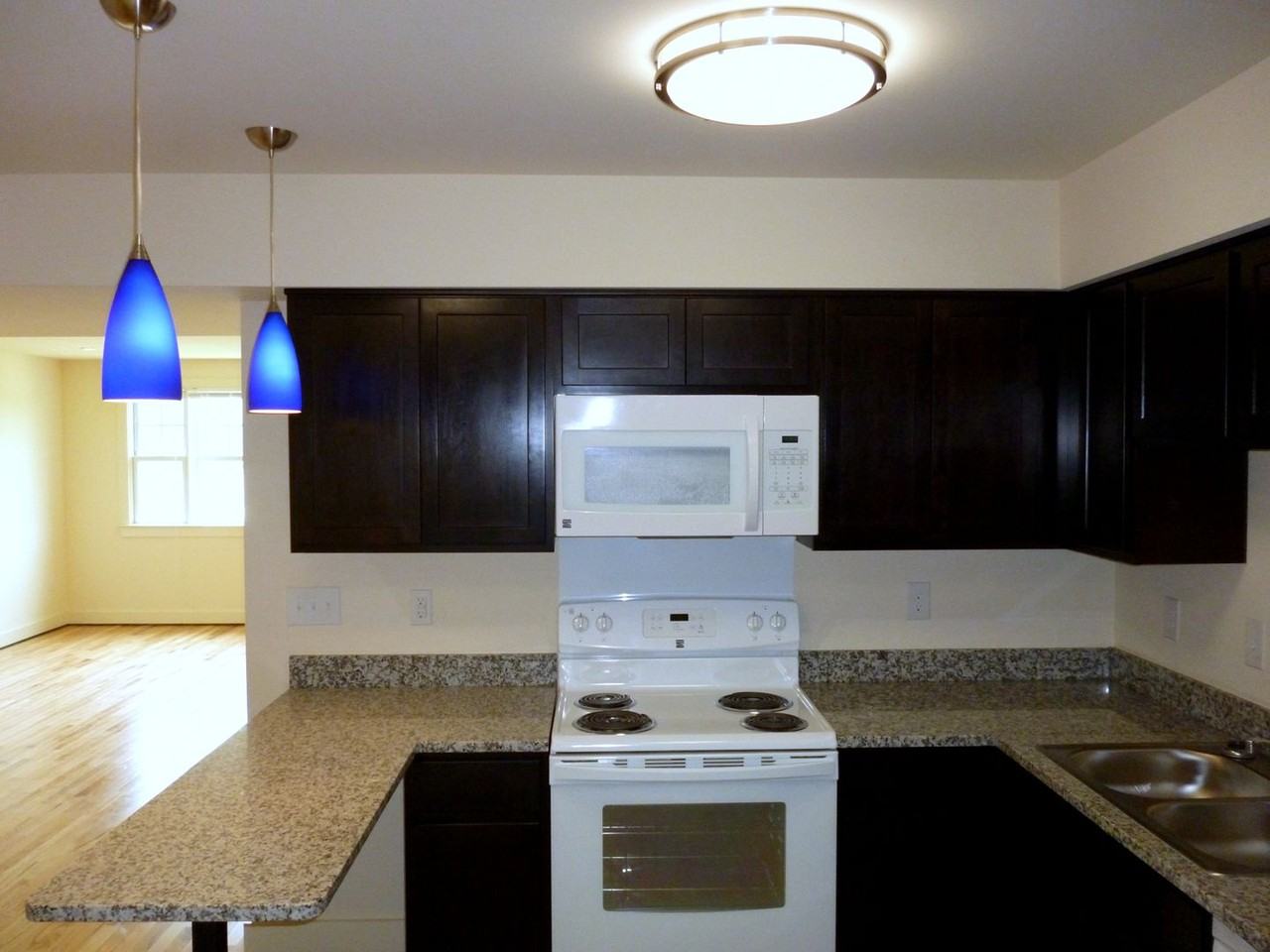 1029 Wertland Street - Photo 4 of 27