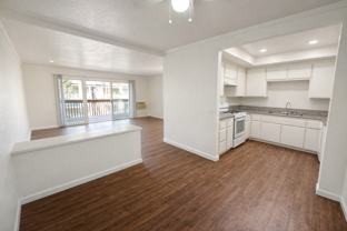 Daisy Apartments - Photo 1 of 1