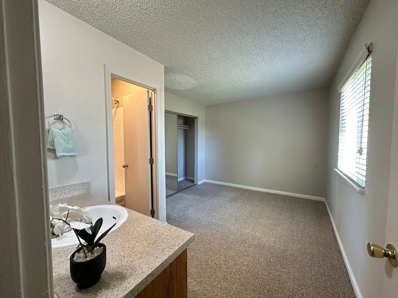 Absolute Must See, Great Price, Close to it All! - Photo 7 of 7