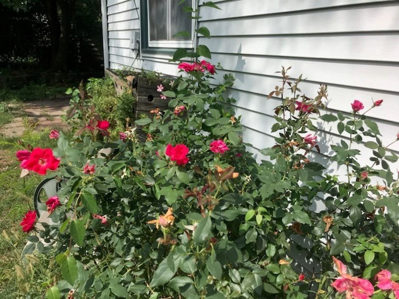 4727 Sw 17th Ter - Photo 2 of 23