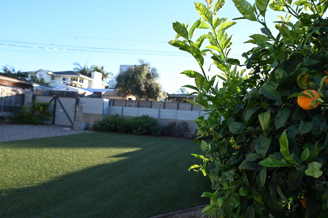 4493 Newport Ave - Photo 3 of 19