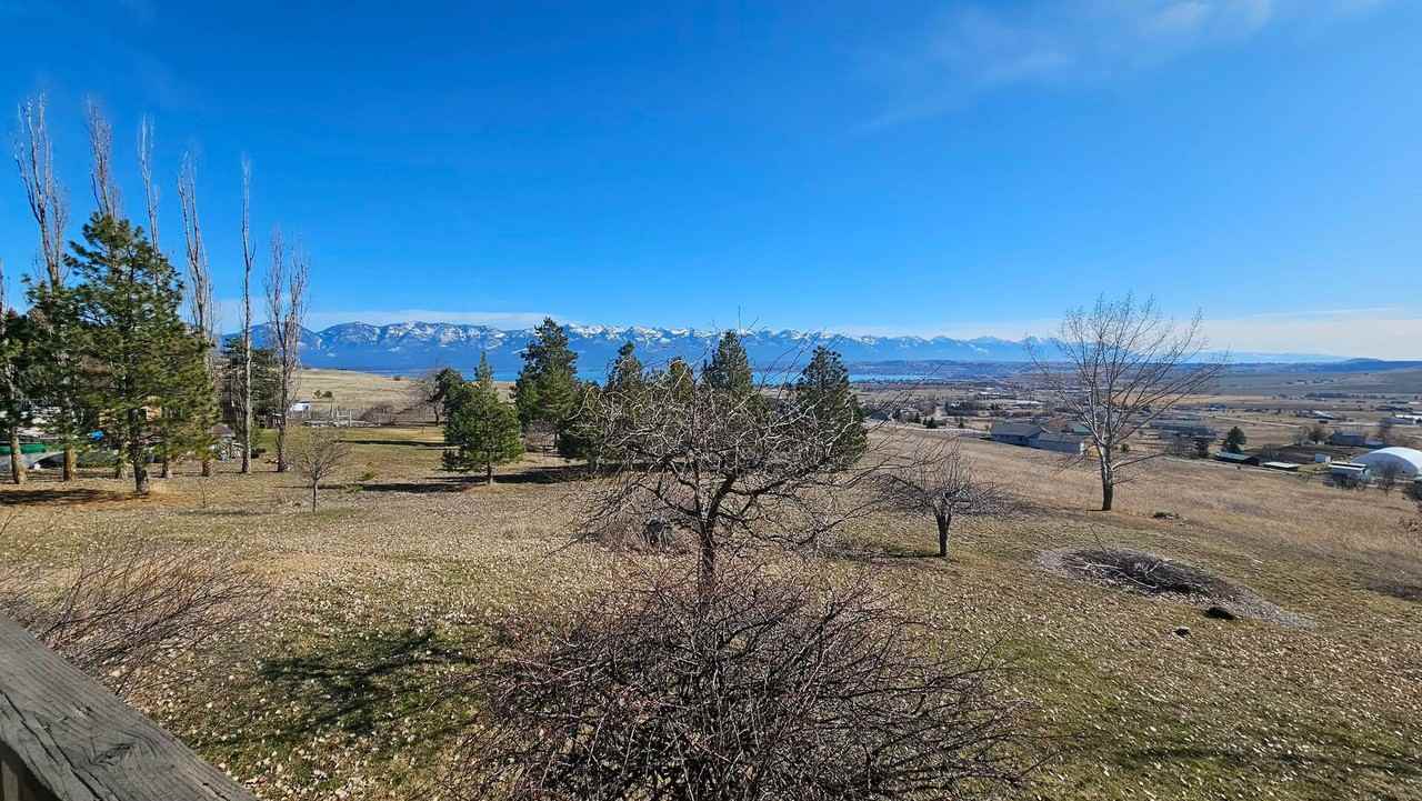 40781 Fox Johnson Rd - Photo 6 of 34