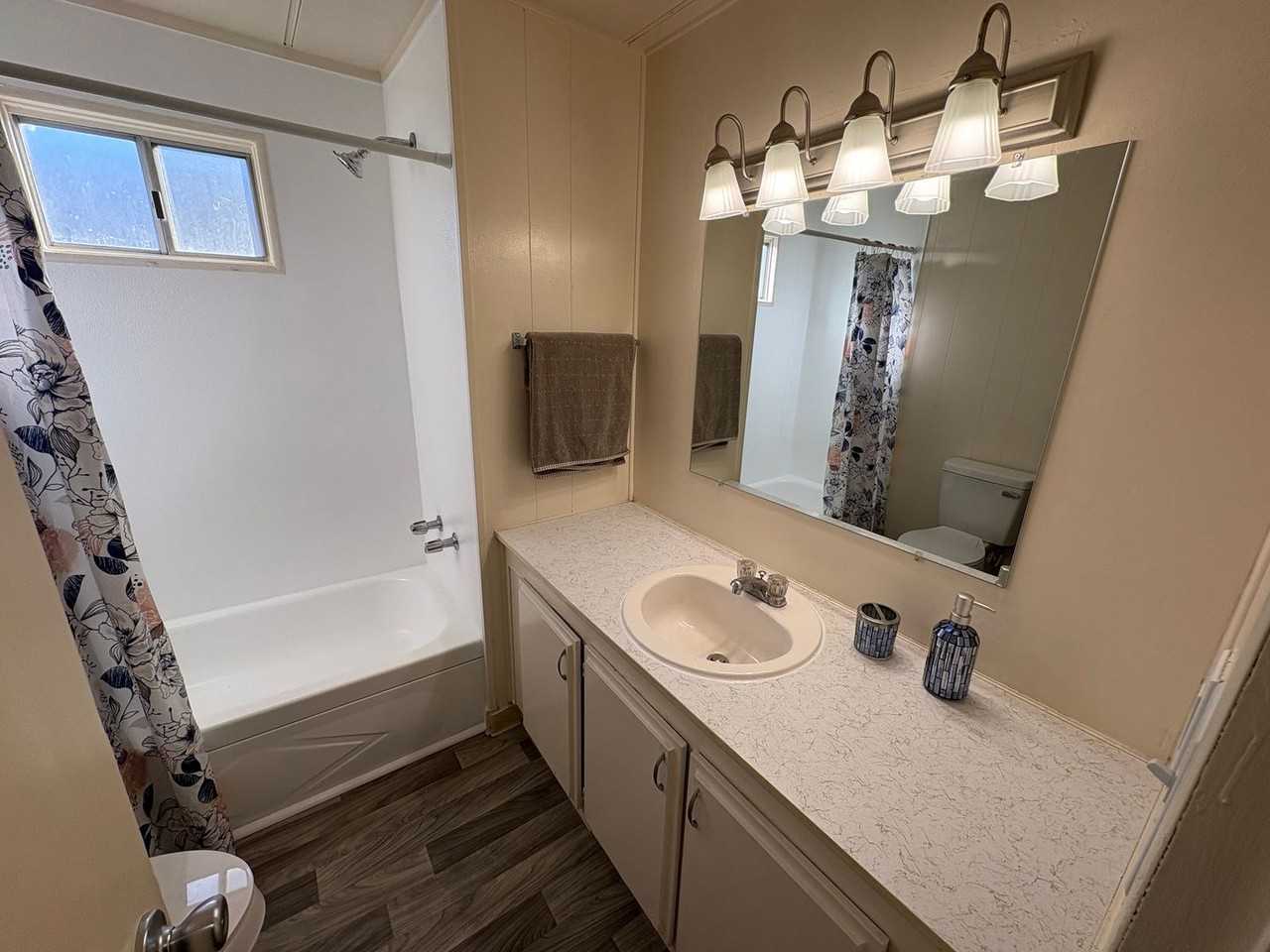 Thunderbird - Photo 6 of 21