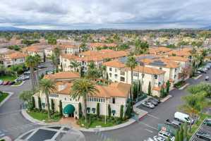 featured image of 250 Palm Valley Blvd