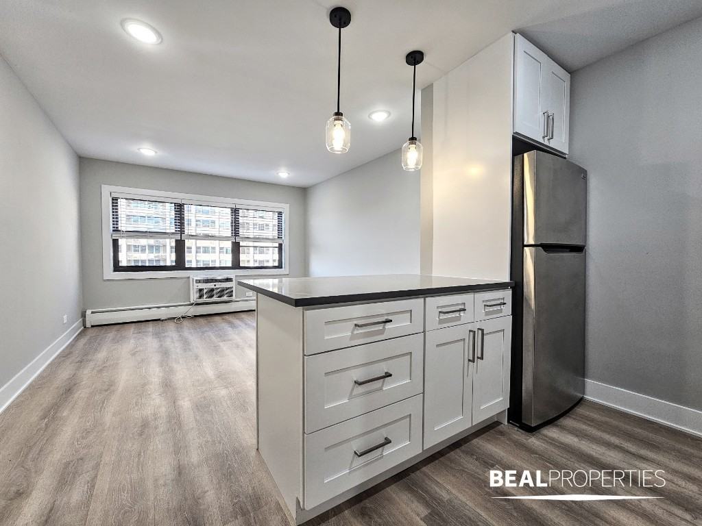 555 W Stratford Pl #402 - Photo 2 of 17