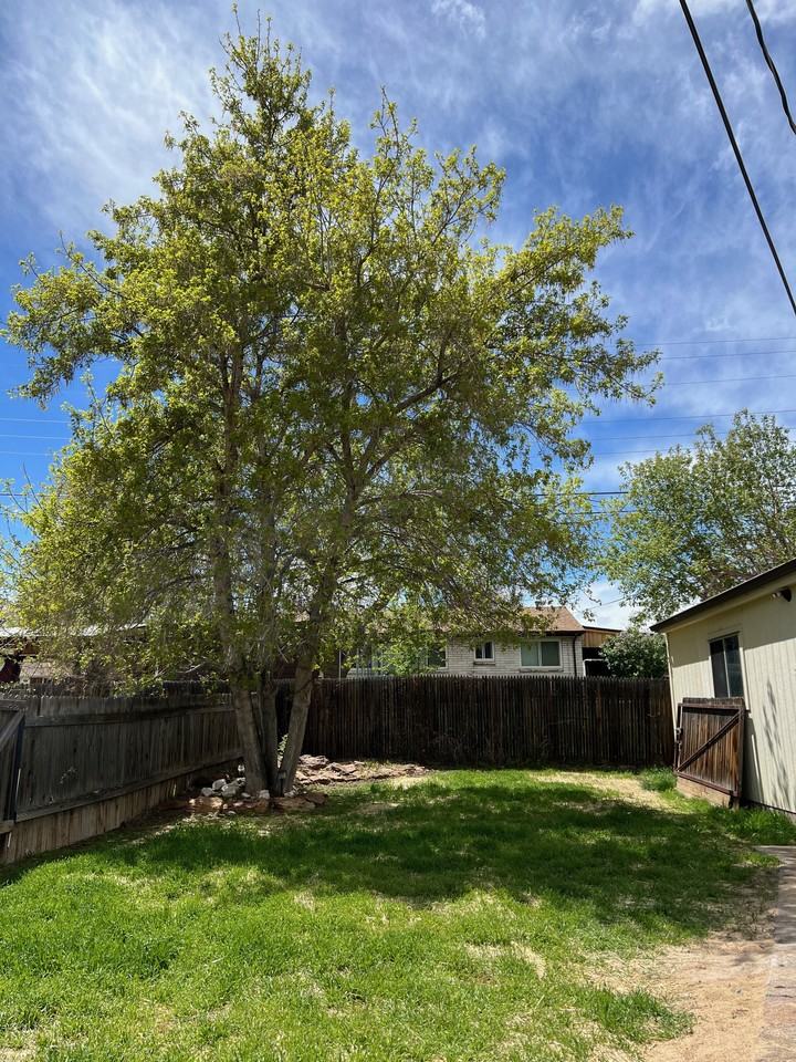 425 S Oak St #NA - Photo 2 of 17